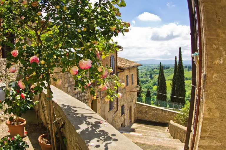 Rozen op balkon in San Gimignano, achtergrond landschap Toscane